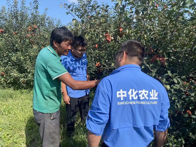 MAP9 赏金船长·PG(中国游)官方网站