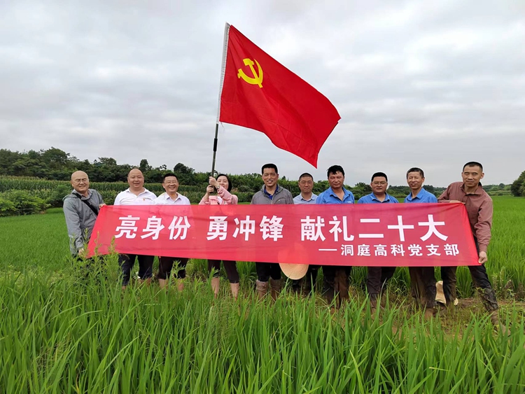 dt2 赏金船长·PG(中国游)官方网站