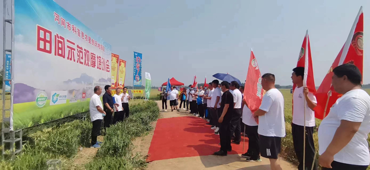 图片8 赏金船长·PG(中国游)官方网站