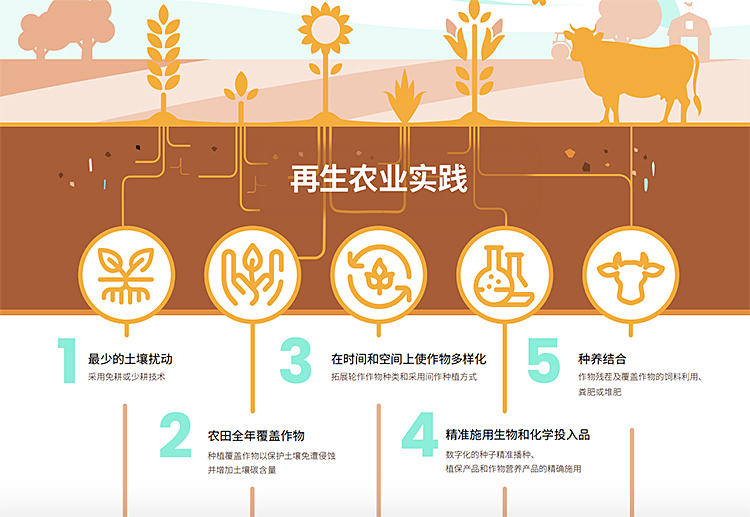 赏金船长·PG(中国游)官方网站