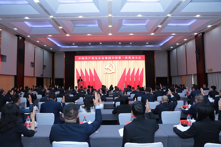 党建栏目党建动态-党代会2 党建栏目党建动态-党代会2