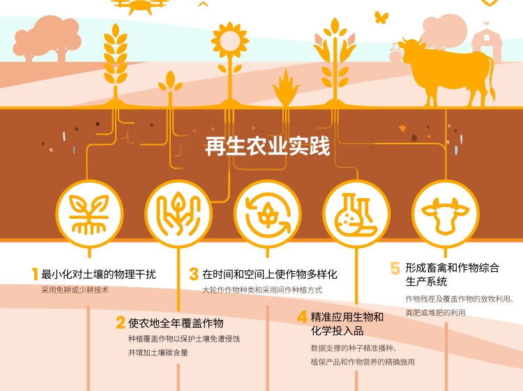 7f5053b9b3d512aa1615dc08a9e1cc5 赏金船长·PG(中国游)官方网站