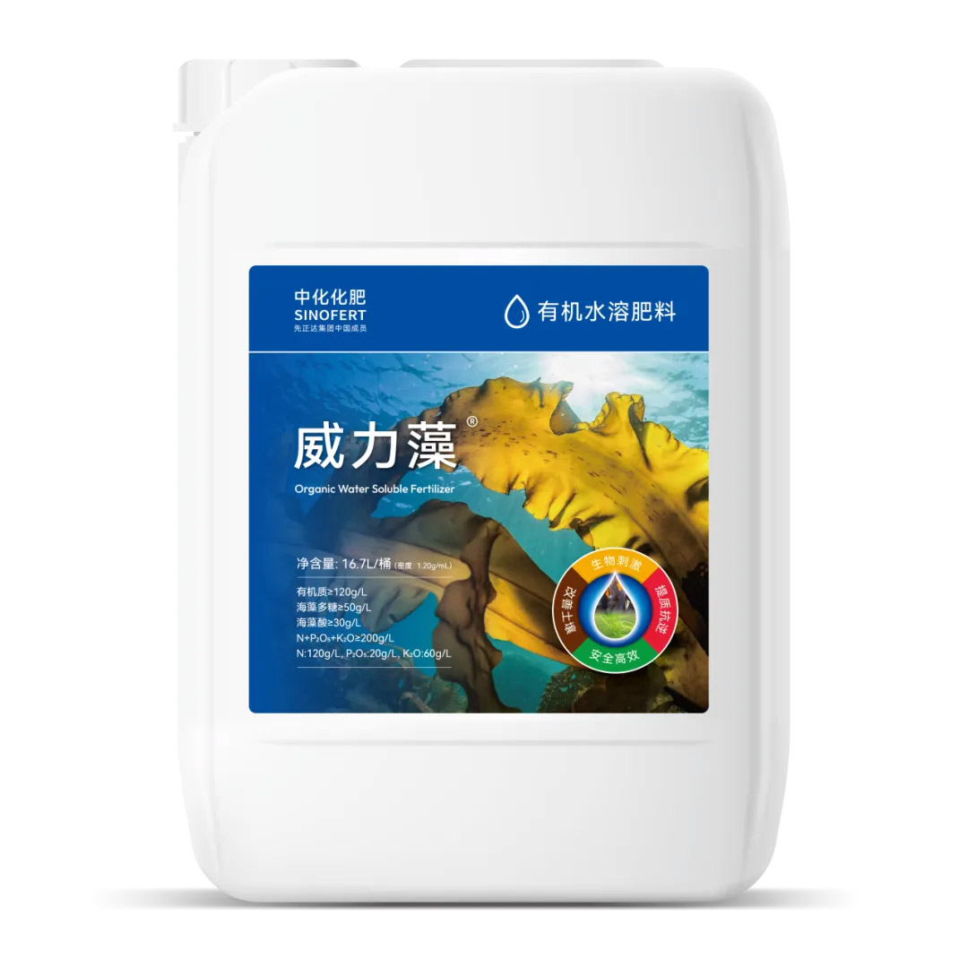 weilizao 赏金船长·PG(中国游)官方网站