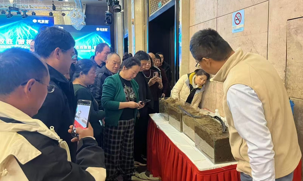 克莱奥1 赏金船长·PG(中国游)官方网站