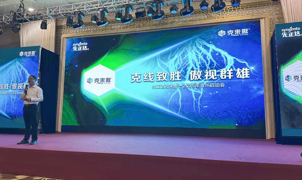 克莱奥2 赏金船长·PG(中国游)官方网站
