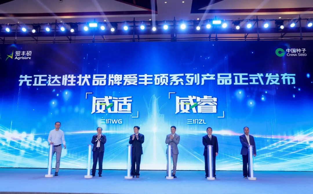 xingzhuang004 赏金船长·PG(中国游)官方网站