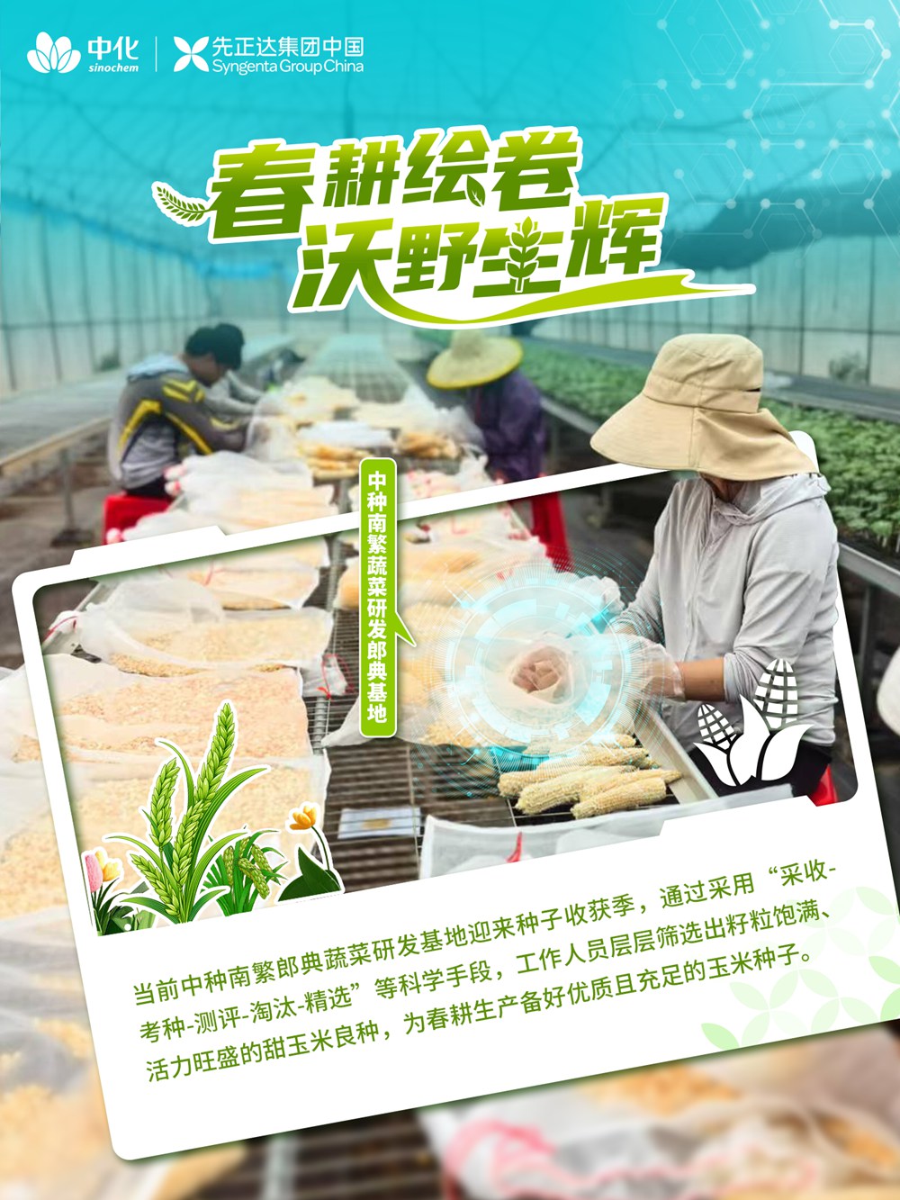 赏金船长·PG(中国游)官方网站
