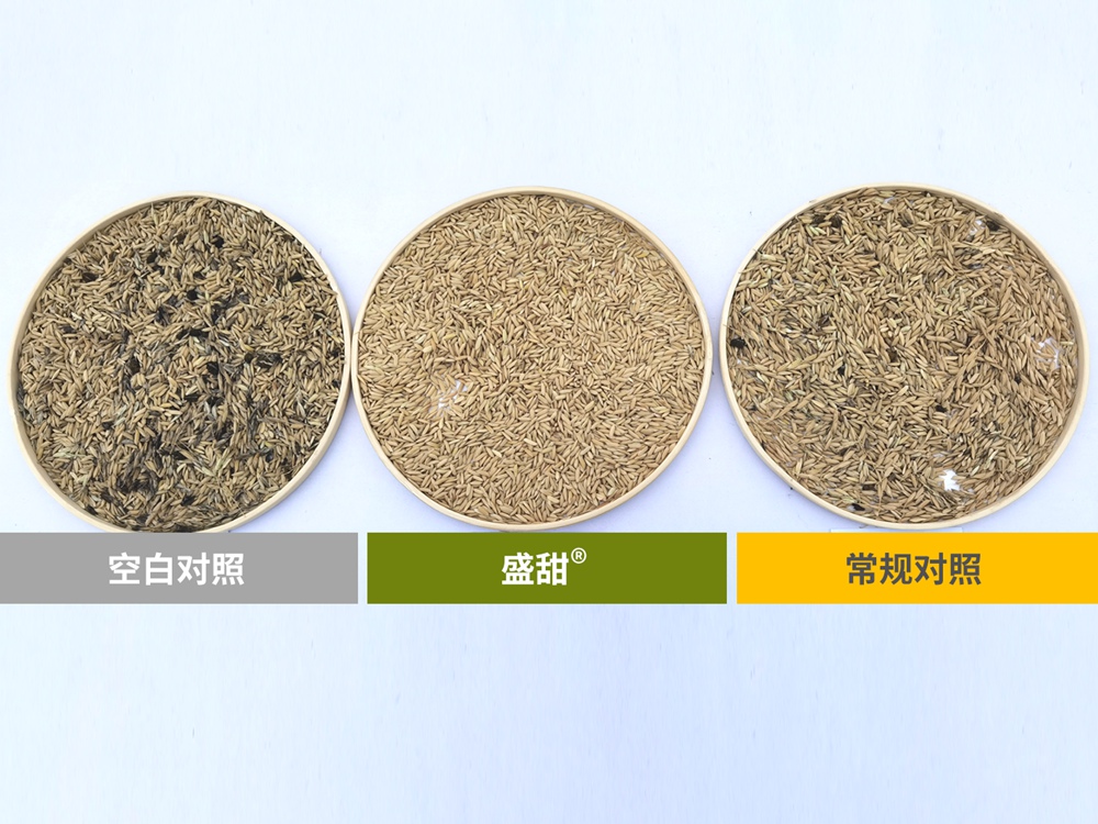 盛甜加R标1 盛甜加R标1