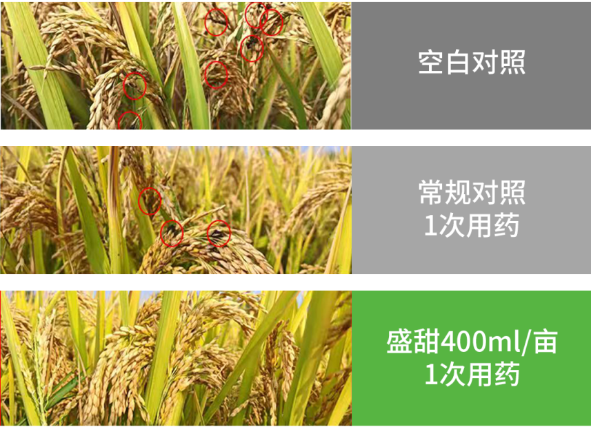 【官微SGC】春耕新品终稿907 赏金船长·PG(中国游)官方网站