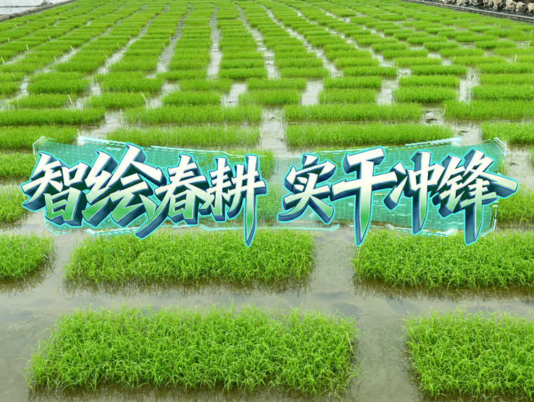 良种添动力，开启春耕“种”带头