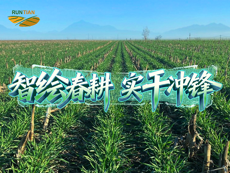 “润田”六年：让泥土“活”起来，让产量“提”上去