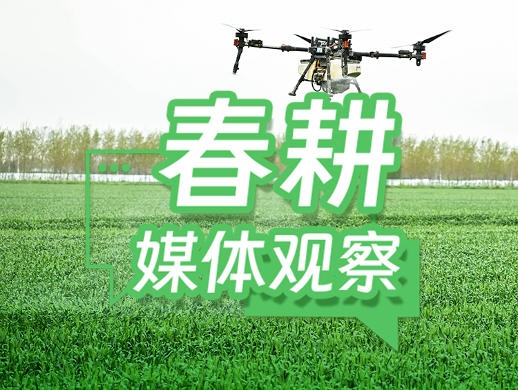 迎“大考”闯“三关”，筑牢幼麦稳产防线